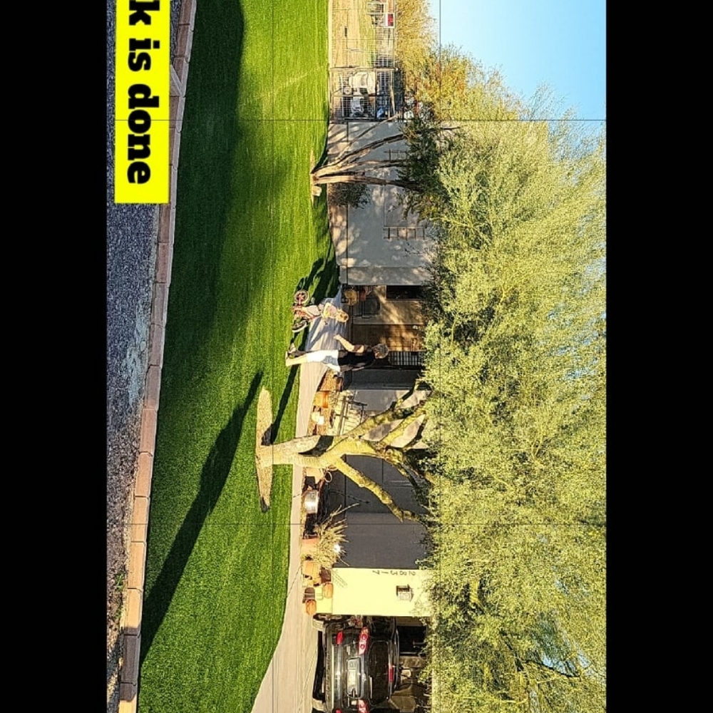 Landscaping services - Picture 5 of 7